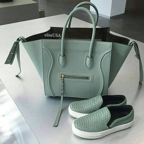 celine tote luggage bag